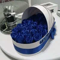 گهواره ایی