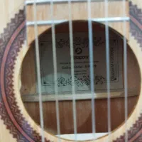 فروش گیتار نو