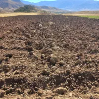 زمین ۶۰۰۰ هزار متر توافقی