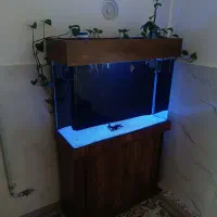 آکواریوم ۱۰۰لیتری