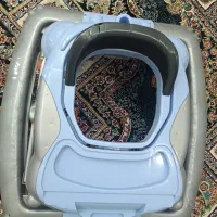 روروئک درحدنو
