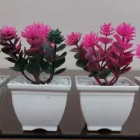 گل مصنوعی|گل مصنوعی|کرج, کیانمهر|دیوار