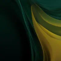 دو عدد حواله ساینا اس