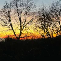 نگهبان بیست و چهار ساعته باغ