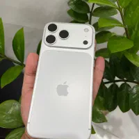 17 Pro max