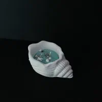 شمع دریایی صدفی