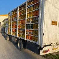 کاویان مرغی 87|خودرو سنگین|گرگان, |دیوار