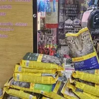 جوسرا  ونپی مونلو هپی کت پوچ و پودینگ