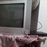 تلویزیون 21 اینچ به همراه دیجیتال و میز چوبی|تلویزیون و پروژکتور|زاهدان, |دیوار