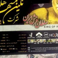 فرش ۹ متری. نگین مشهد ۱۲۰۰ شانه|فرش|ملارد, |دیوار