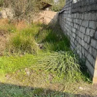 زمین مسکونی|فروش زمین و ملک کلنگی|رشت, احمد گوراب|دیوار