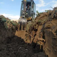 مینی بیل گیتس آمریکا