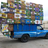 کارتن موزی یا موز|عمده‌فروشی|اردبیل, |دیوار