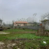 فروش زمین|فروش زمین و ملک کلنگی|رودبنه, |دیوار