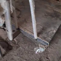 باسکول درحد نو سالم فقط یه باتری میخاد