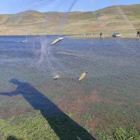 تور ریز چشمه