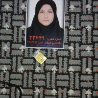 گمشده مدارک به نام خانم سفار
