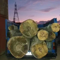 خرید چوب و درخت|خدمات باغبانی و درختکاری|نهاوند, |دیوار