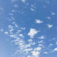 خونه-رهن-اجاره