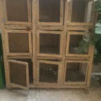 گنجه