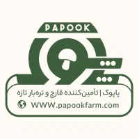 کارمند خانم پشتیبانی و فروش ، شیفت شب