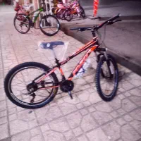 دوچرخه ویوا فورد|دوچرخه، اسکیت، اسکوتر|گنبد کاووس, |دیوار