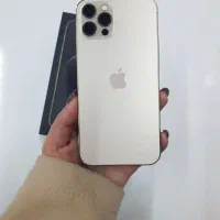 آیفون ۱۲پرو کاملا سالم و پلمپ|موبایل|نوشهر, |دیوار