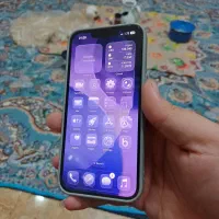 آیفون 13 نرمال|موبایل|املش, |دیوار