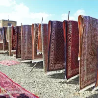 قالیشویی سینا