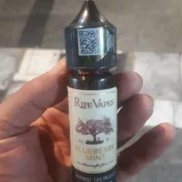 جویس اصلی نعنا اک