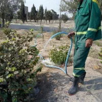 استخدام کارگر ساده