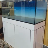 اکواریوم ریملس سوپر کیلییر ۱۰میل