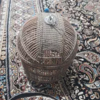 قفس کبک|لوازم جانبی حیوانات|تربتحیدریه, حاجی یار|دیوار