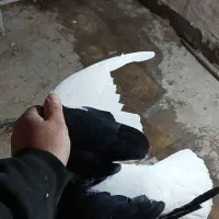 پرنده کفتر ۳ عدد جفتگاه قلدر پرشی المانی رنگه ساده|پرنده|مشهد, کشف|دیوار