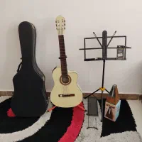 گیتار کلاسیک هافنر پیکاپ دار مدل 204CET