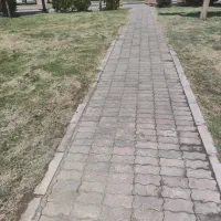 سلام به چند شاگرد با یک وردست کاشی و سنگ کاری