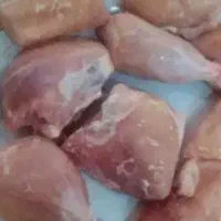 مرغ بخرین معلولم