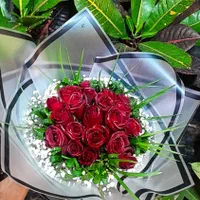 گل رز هلندی قرمز  دسته گل باکس گل فقط شاخه 20 ت|گل و گیاه طبیعی|مشهد, انصار|دیوار