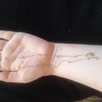 بدلیجات رنگ ثابت