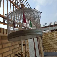 قفس گرد|لوازم جانبی حیوانات|بندر امام خمینی, |دیوار