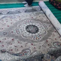 قالی تازه|فرش|بانه, |دیوار