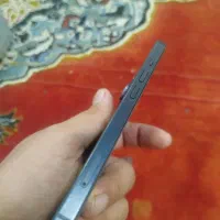 iphone13|موبایل|تربت جام, میان جام|دیوار