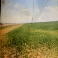 زمین باغی بر جاده اصلی