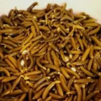 خیارشور بروجرد