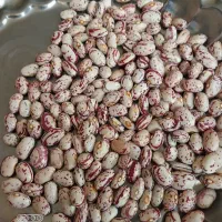 لوبیا چیتی
