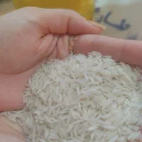 برنج گیلان خوشپخت و طعم سورتینگ شده