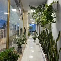 دعوت به همکاری مشاور با آموزش رایگان(خانم&آقا)