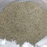 عدس تازه بوجار شده بدون اشغال