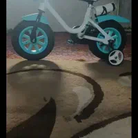 دوچرخه سالم در حد