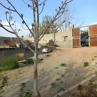 اجاره آپارتمان ۵۰ متری ۲ خوابه زیر همکف در نارمک|اجارهٔ آپارتمان|تهران, نارمک|دیوار